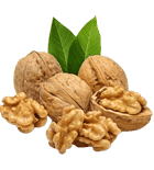 نـهال گردو