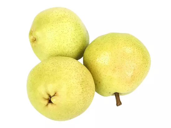 نهال گلابی سیبری